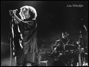 Massive Attack Garorock 2014
