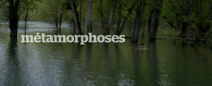 Métamorphoses de Christophe Honoré