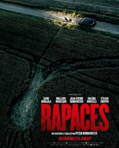 affiche de rapaces
