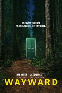 indociles - wayward-affiche