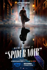 spider noir affiche